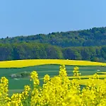 Πανσιόν Restaurant Gruener Baum Leidersbach