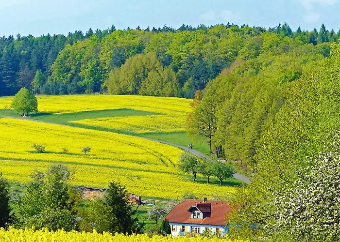Pensión Restaurant Grüner Baum 3*