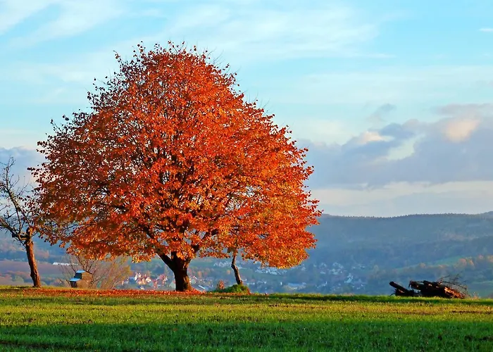 Restaurant Grüner Baum