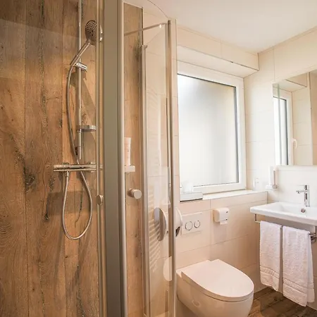 Restaurant Gruener Baum Guest house 3*