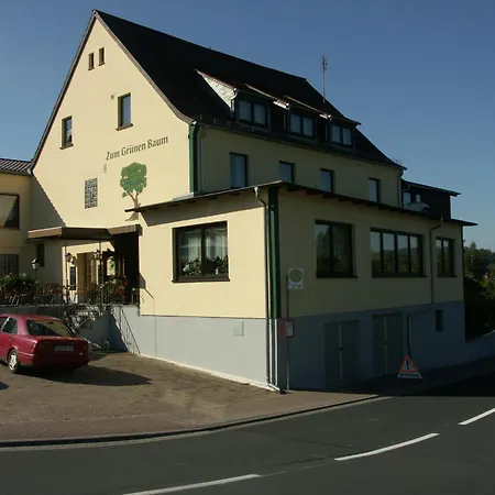 Restaurant Gruener Baum 3*