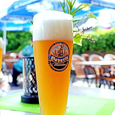 Guest house Restaurant Gruener Baum 3*