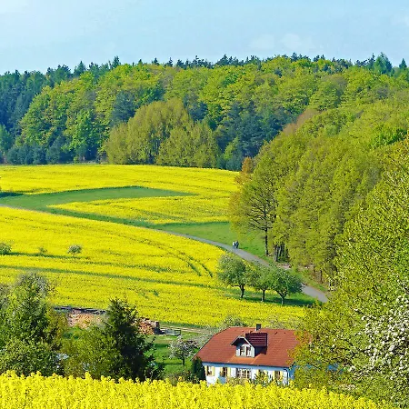 Konukevi Restaurant Grüner Baum 3*